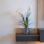 Apartment Myflat Coral